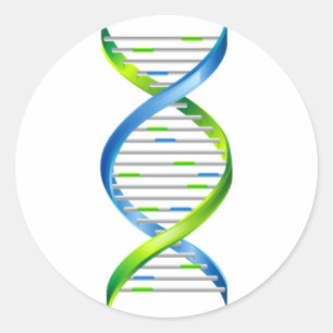 DNA CLASSIC ROUND STICKER