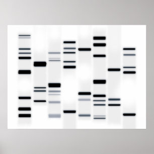 DNA Code Art Black on White Poster