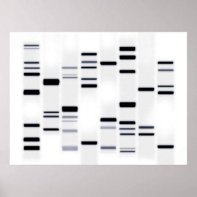 DNA Code Art Black on White Poster (Front)