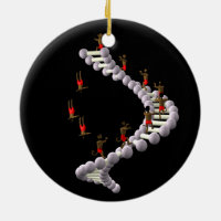 DNA: Darwin's Evolution