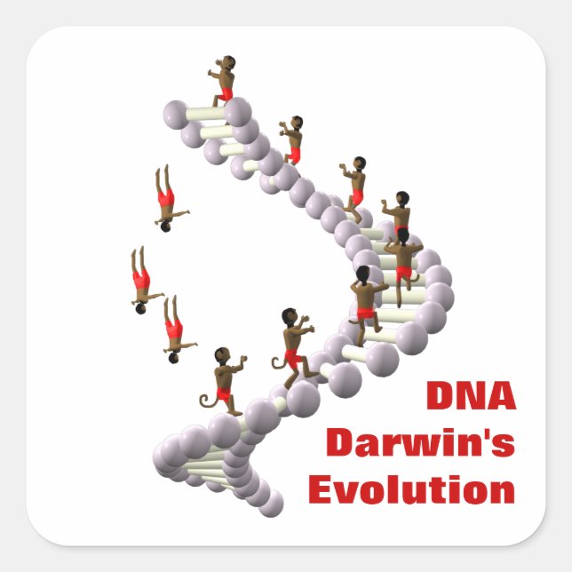 DNA Darwin's Evolution Square Sticker (Front)