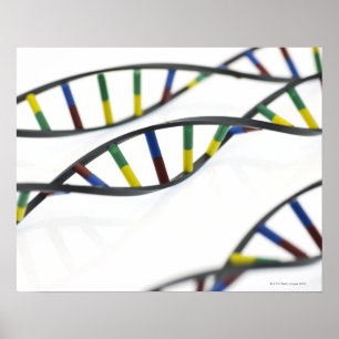 DNA (deoxyribonucleic acid) molecules. Poster