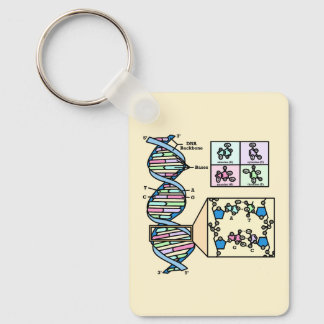 DNA Diagram Key Ring