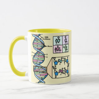 DNA Diagram Mug