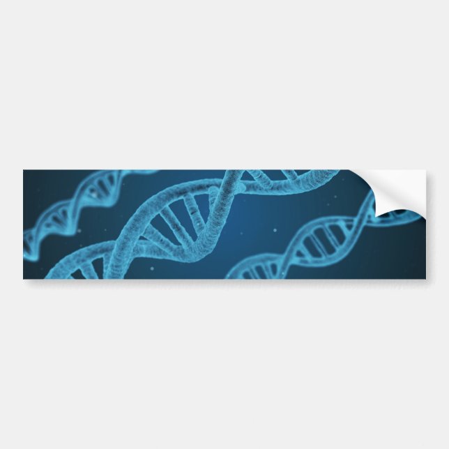 DNA Double Helix Bumper Sticker (Front)