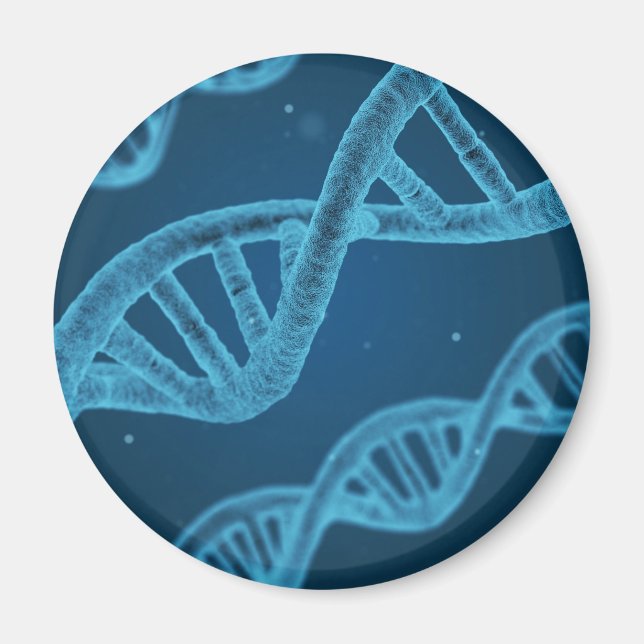 DNA Double Helix Magnet (Front)