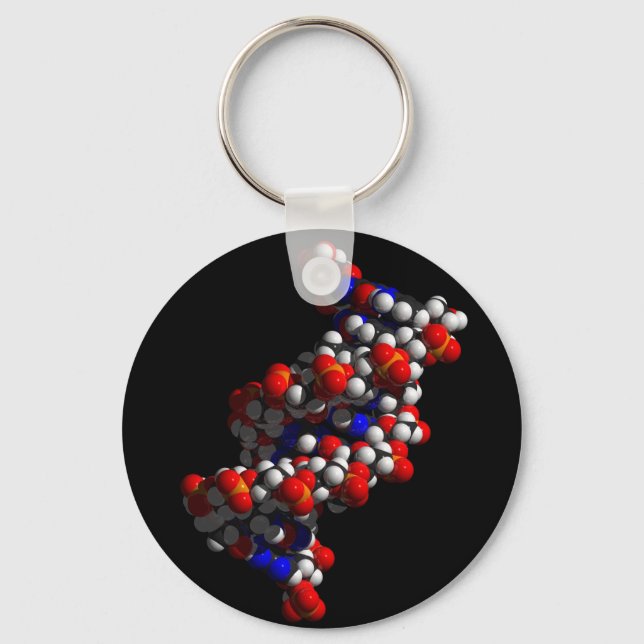 DNA Double Helix Model Key Ring (Front)