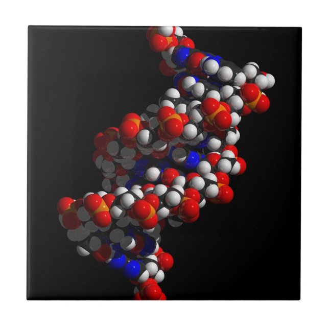 DNA Double Helix Model Tile (Front)