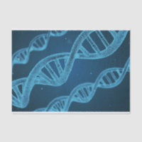 DNA Double Helix