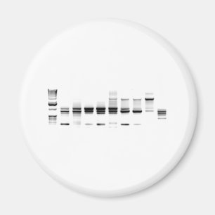 DNA Gel Magnet