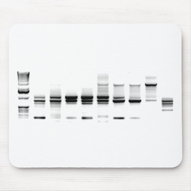 DNA Gel Mouse Mat (Front)