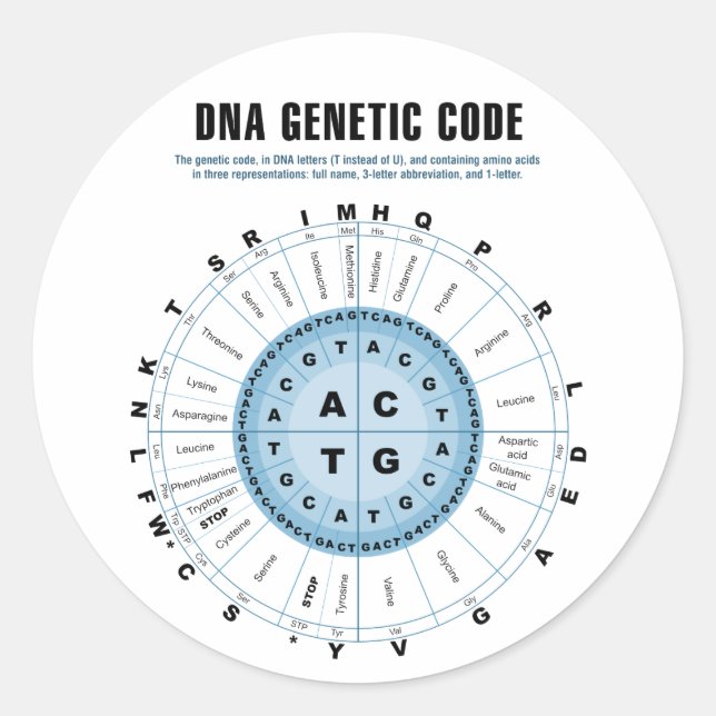 DNA Genetic Code Chart Classic Round Sticker (Front)