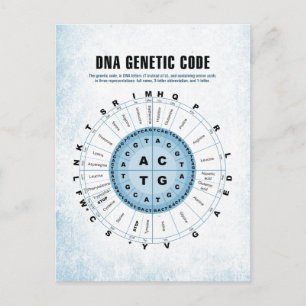 DNA Genetic Code Chart Postcard