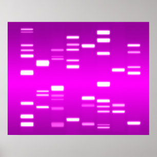 DNA Genetic Code Pink Magenta Poster