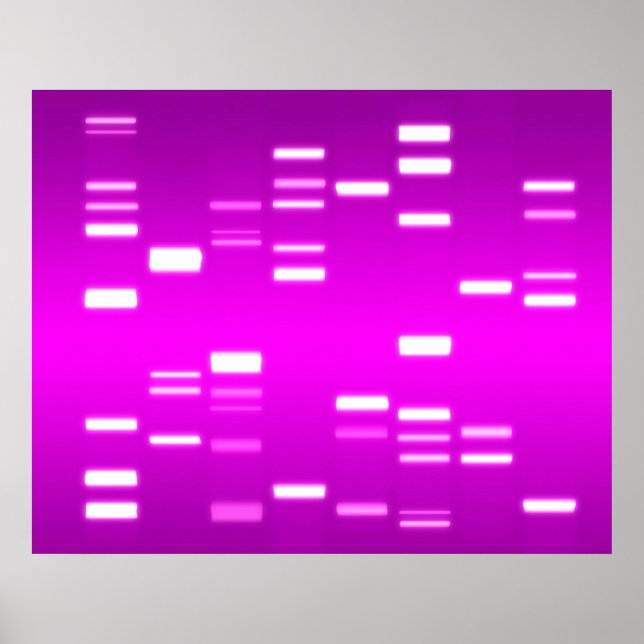DNA Genetic Code Pink Magenta Poster (Front)