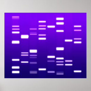 DNA Genetic Code Purple Poster