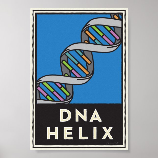 DNA Helix Poster (Front)