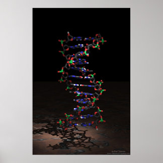 DNA in the Spotlight Poster
