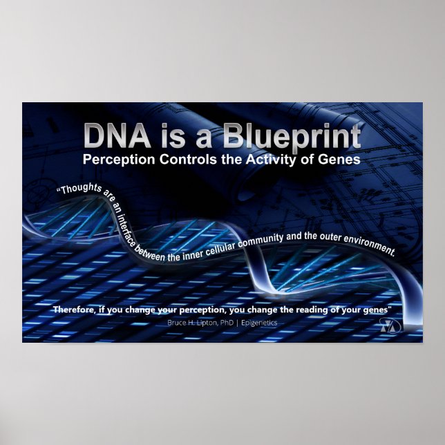 DNA is a Blueprint Poster (Front)