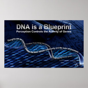 DNA is a Blueprint Poster