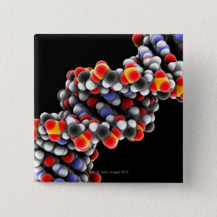DNA molecule. Molecular model of DNA 15 Cm Square Badge