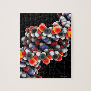 DNA molecule. Molecular model of DNA Jigsaw Puzzle