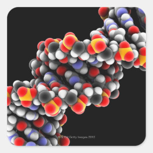 DNA molecule. Molecular model of DNA Square Sticker