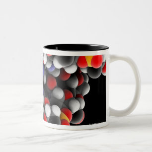 DNA molecule. Molecular model of DNA Two-Tone Coffee Mug