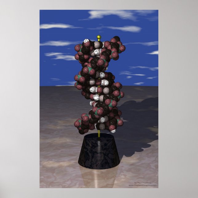 DNA on a Stand Poster (Front)