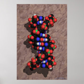DNA on Stone Poster