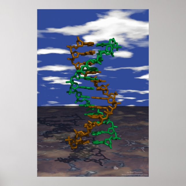 DNA Outdoors Poster (Front)
