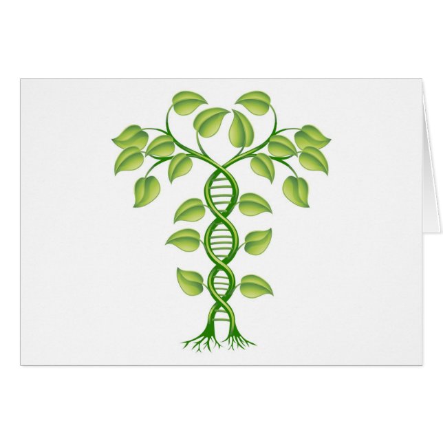 DNA plant concept (Front Horizontal)