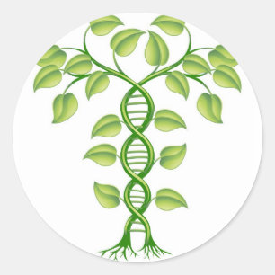 DNA plant concept Classic Round Sticker