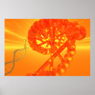 DNA poster