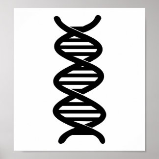 DNA POSTER
