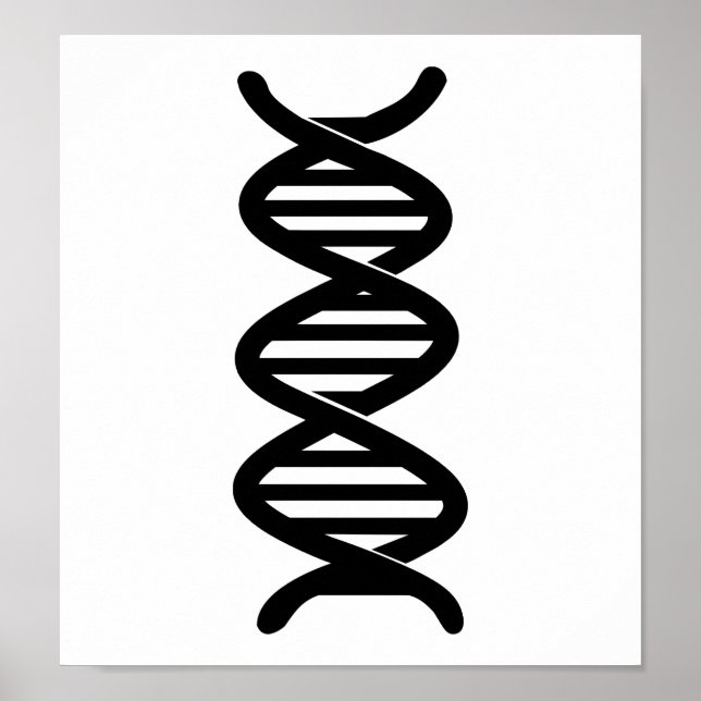 DNA POSTER (Front)