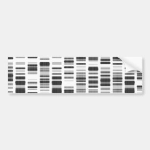 DNA Print - Bumper Sticker