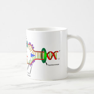 DNA replication Coffee Mug