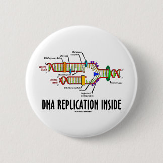 DNA Replication Inside (DNA Attitude) 6 Cm Round Badge