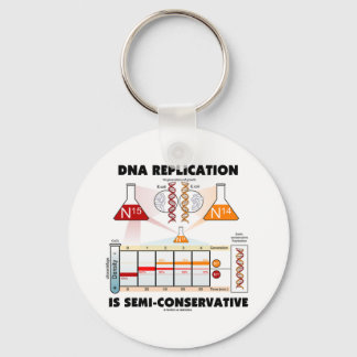 DNA Replication Is Semi-Conservative Key Ring