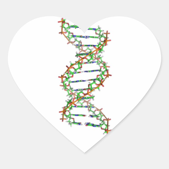 DNA - science/scientist/biology Heart Sticker (Front)