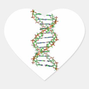 DNA - science/scientist/biology Heart Sticker