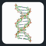 DNA - science/scientist/biology Square Sticker<br><div class="desc">DNA - science/scientist/biology</div>