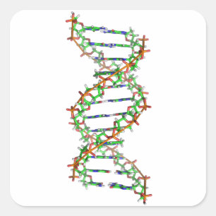 DNA - science/scientist/biology Square Sticker