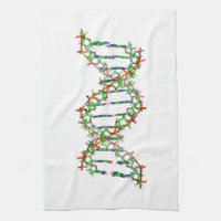 DNA - science/scientist/biology