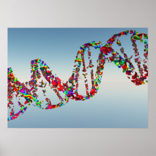 DNA Strand Poster