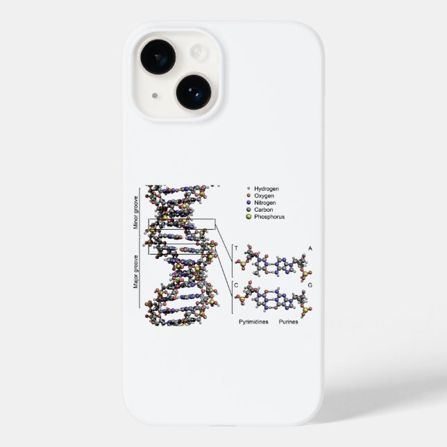 DNA Structure Deoxyribonucleic Acid Bases Diagram  Case-Mate iPhone Case (Back)