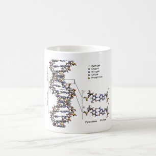 DNA Structure Deoxyribonucleic Acid Bases Diagram  Coffee Mug