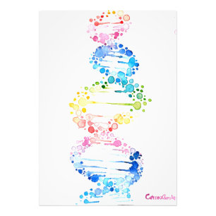 DNA, the spyral of life Photo Print