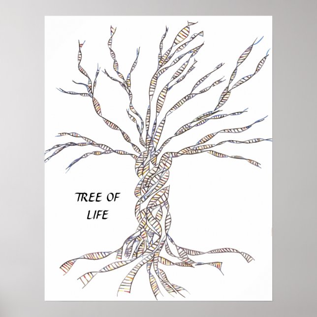 DNA TREE or Tree of Life POSTER BLUE (Front)